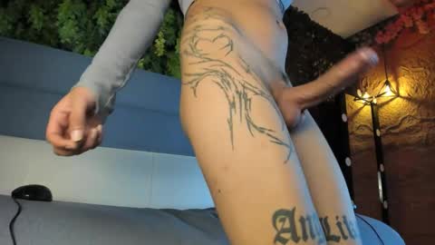 Novi online show from November 2025 07:36:03 PM