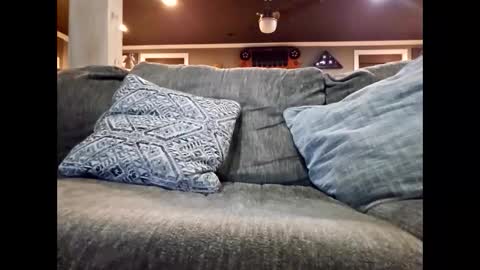 Snapshot of nudistguy194549 chatting on January 2026 12:16:02 AM Nudistguy online show from January 2026 12:16:02 AM