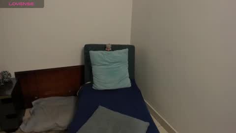 nuit_rose online show from February 2025 12:42:01 AM