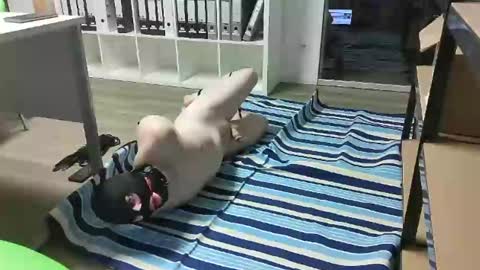 Slave for Mistress and Master online show from February 2025 11:33:01 AM