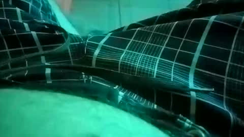 Snapshot of nuttyprofesir chatting on April 2026 01:19:01 PM NuttyProfesir online show from April 2026 01:19:01 PM