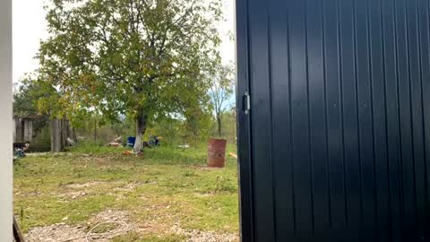 Snapshot of nyconik chatting on September 2025 07:21:02 AM Nicol online show from September 2025 07:21:02 AM