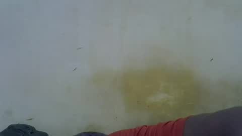 Paloma online show from May 2026 11:46:02 PM
