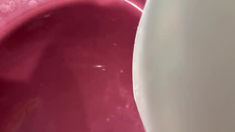 Snapshot of oconner701 chatting on November 2025 05:30:02 AM oconner701 online show from November 2025 05:30:02 AM