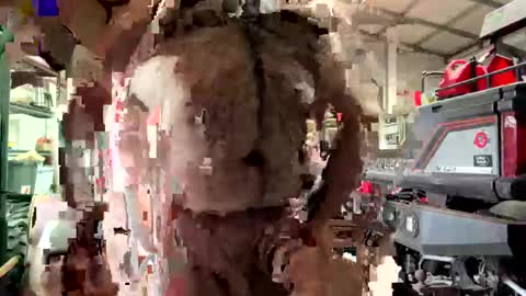 odang_13 online show from February 2026 10:55:01 PM