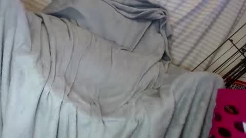 Snapshot of ogdigbick chatting on February 2025 02:13:02 PM OGDigBick online show from February 2025 02:13:02 PM