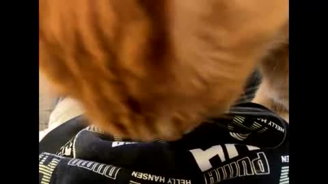 Snapshot of oggs48 chatting on October 2025 11:22:02 AM oggs48 online show from October 2025 11:22:02 AM