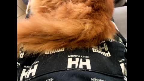 Snapshot of oggs48 chatting on November 2025 01:46:01 PM oggs48 online show from November 2025 01:46:01 PM