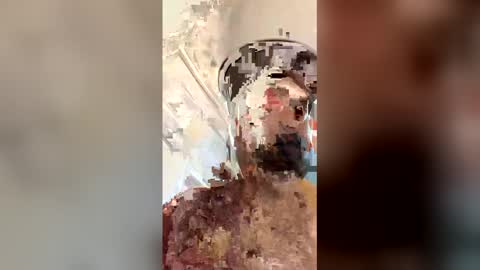 ogkftp online show from April 2026 01:58:02 PM