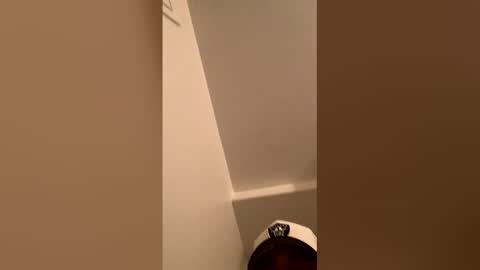 Snapshot of ognemomonies chatting on February 2026 10:33:01 AM ognemomonies online show from February 2026 10:33:01 AM