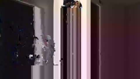 ogtripmushem online show from October 2025 01:48:02 PM