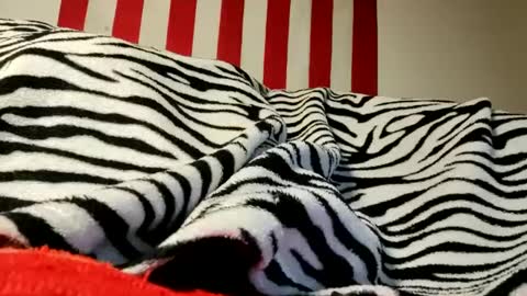 Laura online show from September 2025 04:25:01 AM