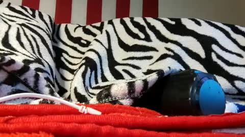 Laura online show from September 2025 06:04:02 AM