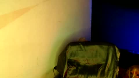 Snapshot of oliver_laid_2023 chatting on January 2025 05:48:01 PM oliver_laid_2023 online show from January 2025 05:48:01 PM