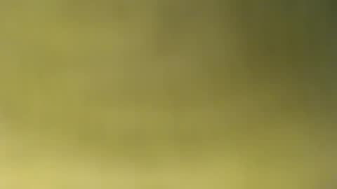 Snapshot of oliver_laid_2023 chatting on November 2025 08:51:05 AM oliver_laid_2023 online show from November 2025 08:51:05 AM