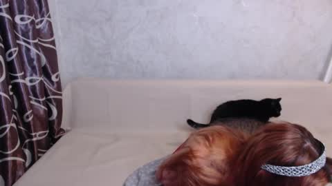 Olivia online show from September 2025 01:49:01 AM