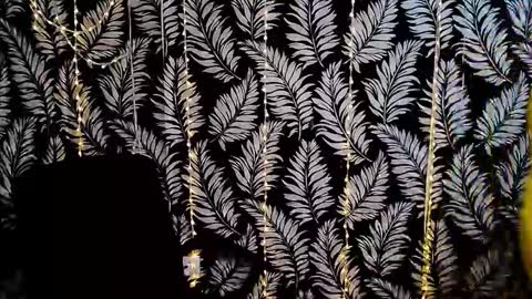 Snapshot of oliviaoskar_ chatting on November 2025 03:59:01 PM Kelly online show from November 2025 03:59:01 PM