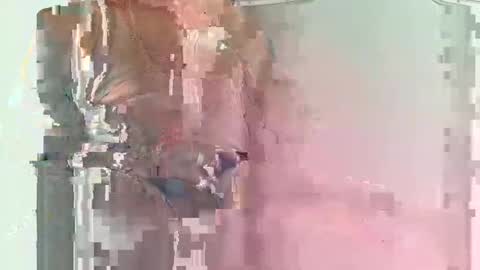 olover online show from March 2025 11:39:02 AM