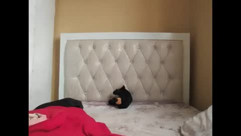 Snapshot of olwami4 chatting on February 2026 06:57:02 AM olwami4 online show from February 2026 06:57:02 AM