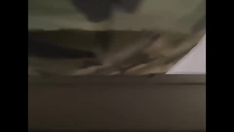 oneeyesnake1843142 online show from October 2025 01:21:01 PM