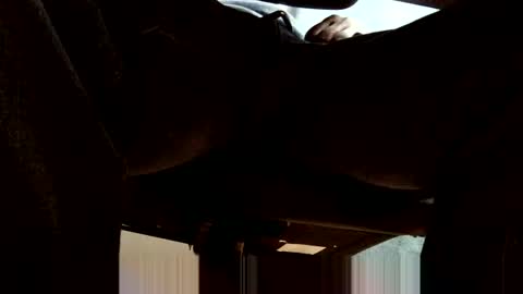 oneeyesnake1843142 online show from October 2025 06:25:02 AM