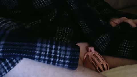 Butch online show from December 2024 11:57:01 PM