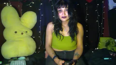 choont-berry delux669 online show from February 2025 07:40:01 AM