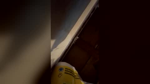 Jolene online show from April 2026 05:14:02 PM