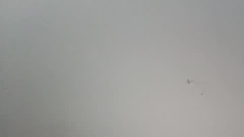 Snapshot of oooxxxrrr chatting on January 2026 11:10:01 PM oooxxxrrr online show from January 2026 11:10:01 PM