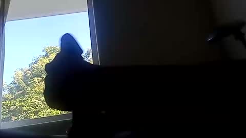 Snapshot of ootripoo chatting on September 2025 06:52:02 PM ootripoo online show from September 2025 06:52:02 PM