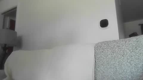 Snapshot of open_torequest chatting on February 2026 06:27:01 PM open_torequest online show from February 2026 06:27:01 PM