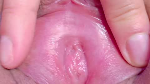 Snapshot of orchidekitty chatting on May 2026 10:05:02 PM orchidekitty online show from May 2026 10:05:02 PM