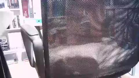 oren online show from March 2025 02:44:02 PM