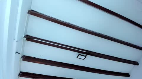 Miss Guzman  online show from February 2025 12:16:01 PM