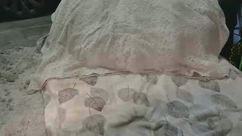 originalcali95 online show from March 2026 12:38:02 AM