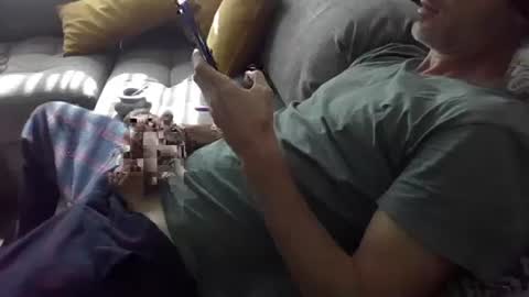 orwel09 online show from January 2025 12:35:02 PM