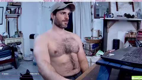 Osito Blanco online show from May 2026 10:27:01 PM