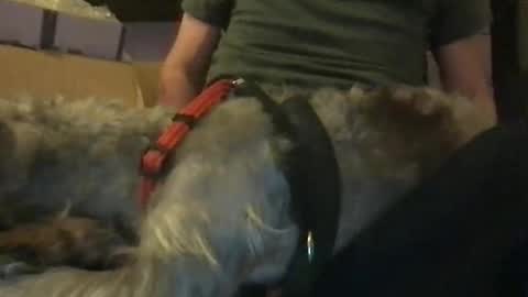 rossignol online show from January 2025 06:14:01 AM