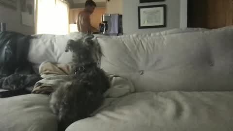 rossignol online show from September 2025 04:29:02 PM