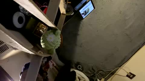 Snapshot of oyeblancki chatting on January 2025 04:22:02 AM CoCreatorBlancki online show from January 2025 04:22:02 AM