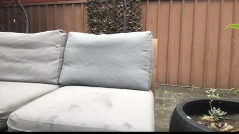 Hrny aussie surfer online show from September 2025 12:59:01 AM