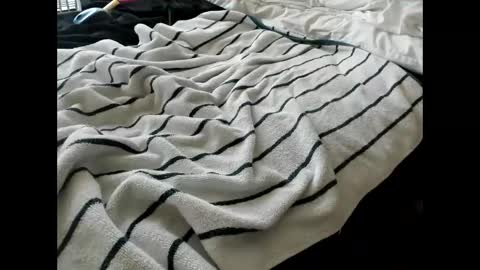 p guin12345 online show from April 2026 03:25:01 PM