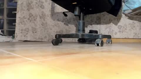 Snapshot of pablomenesssl chatting on December 2025 06:36:02 PM Pablo Meness online show from December 2025 06:36:02 PM