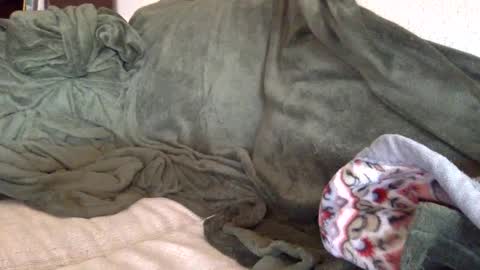 Snapshot of paintdude424 chatting on September 2025 01:48:02 PM paintdude424 online show from September 2025 01:48:02 PM