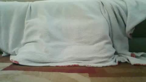 Snapshot of palmerwoodx chatting on February 2026 05:33:01 PM palmerwoodx online show from February 2026 05:33:01 PM