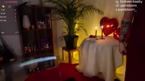     online show from February 2025 11:20:01 PM