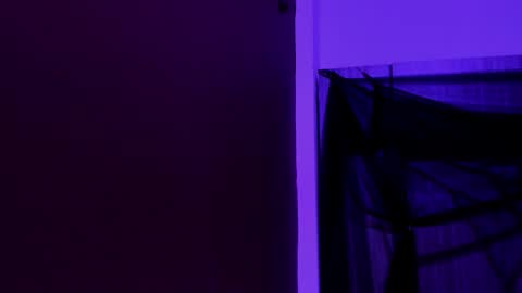  P A M  online show from November 2025 04:12:02 AM