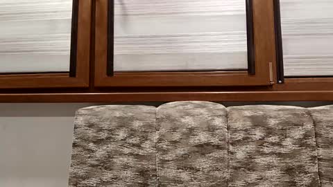 Snapshot of pamid215 chatting on January 2025 08:15:02 PM angel hris online show from January 2025 08:15:02 PM