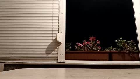 Snapshot of pamid215 chatting on November 2025 05:34:01 PM angel hris online show from November 2025 05:34:01 PM