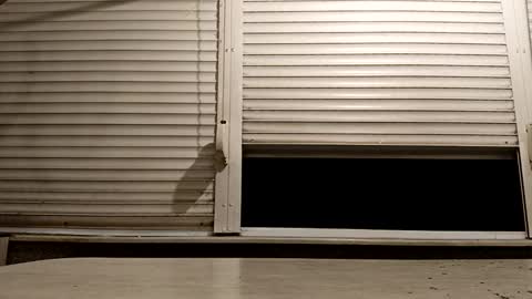 Snapshot of pamid215 chatting on November 2025 06:18:01 PM angel hris online show from November 2025 06:18:01 PM